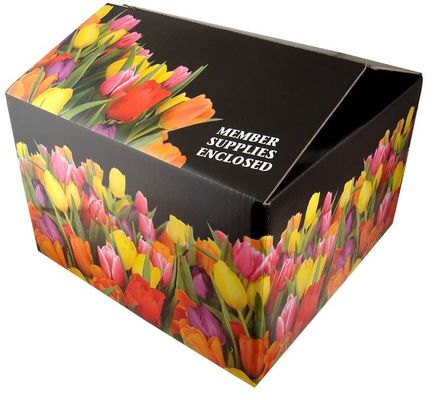 リサイクル可能なタック・トップ・ボックス 工芸品のゴロゴロ紙紙 梱包 紙箱