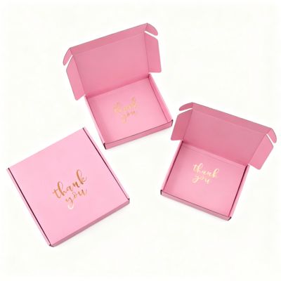 Corrugated Recyclable Biodegradable Gift Packaging Shoes Clothes Sponge Lined Postal Mailer Shipping