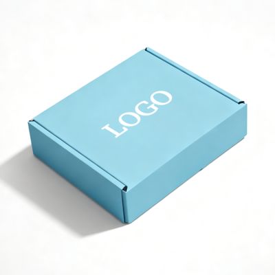 Custom Corrugated Paper Box for Shoes and Clothes Folding Aircraft Shipping and Packaging with Glossy Lamination Sponge Liner